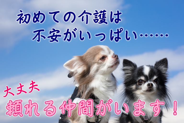 【高槻市】介護スタッフ(正社員)研修制度充実♪新人さんはもちろん中堅スタッフさんを支える体制が整ってます◎s-ota-h6-kyo イメージ